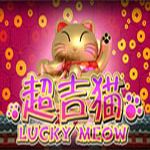 Lucky Meow